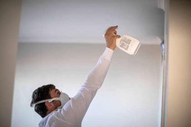 Best Post-Flood Mold Remediation in Crockett, TX