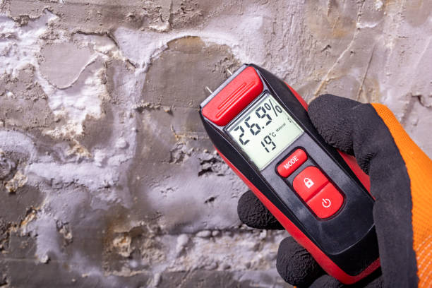 Best Black Mold Remediation in Crockett, TX
