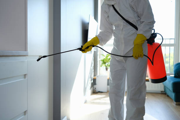 Best Mold Remediation for Schools in Crockett, TX