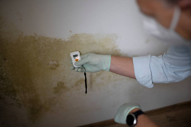 Best Bathroom Mold Remediation in Crockett, TX