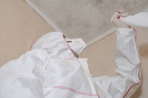 Best Post-Flood Mold Remediation in Crockett, TX